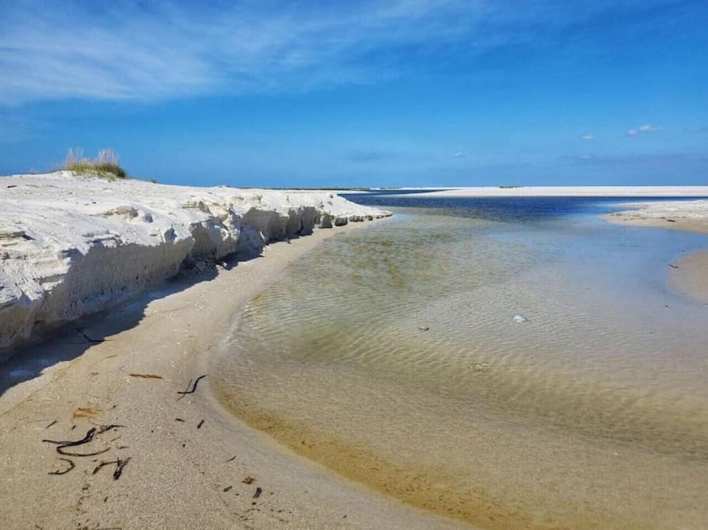 Tortuga Tillys Cape San Blas Luaran gambar