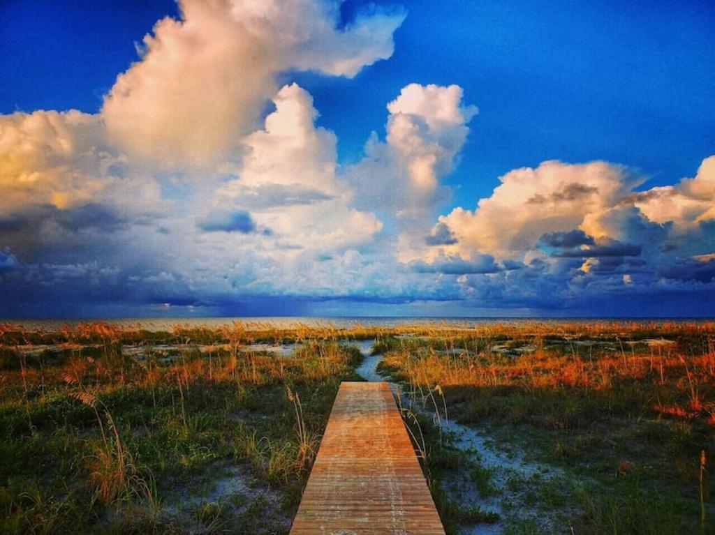Tortuga Tillys Cape San Blas Luaran gambar