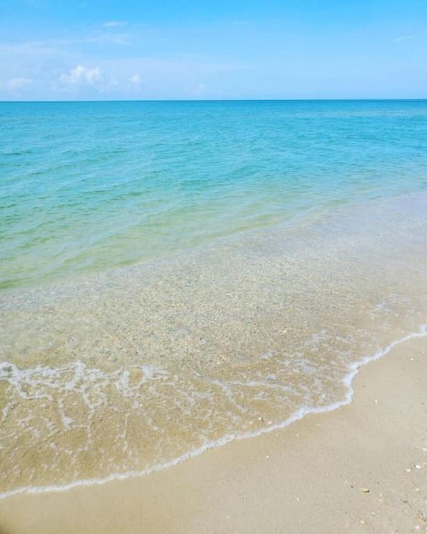 Tortuga Tillys Cape San Blas Luaran gambar