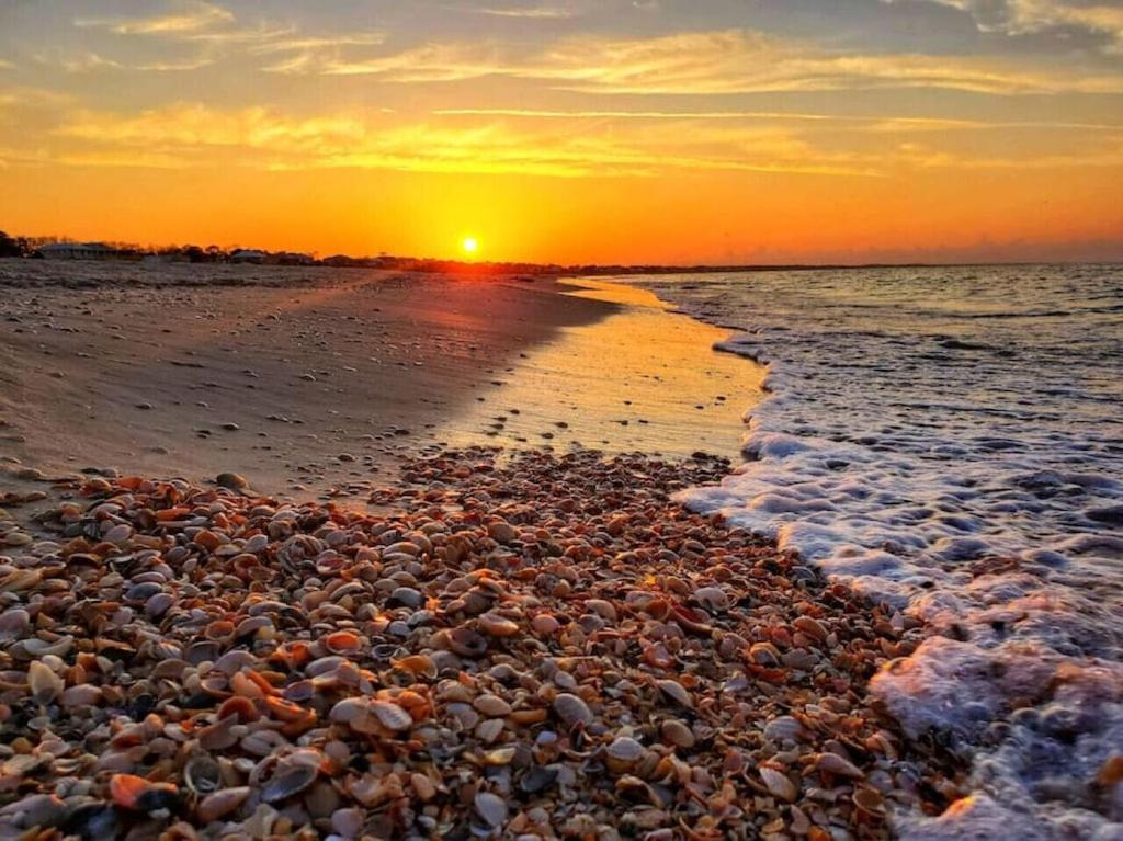 Tortuga Tillys Cape San Blas Luaran gambar
